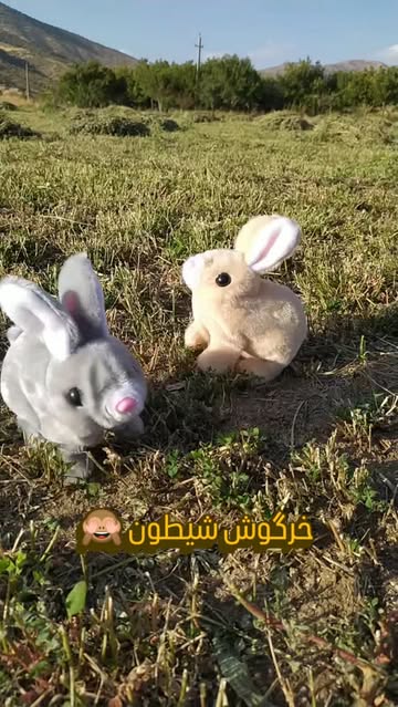 خرگوش بازیگوش باطری خور موزیکال چراغ دار